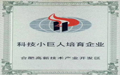 喜讯 荣耀体育在线官网-荣耀体育在线官网（中国）入选合肥高新区“科技小巨人”培育企业