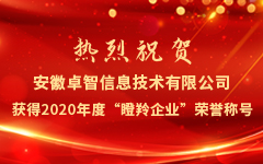 热烈祝贺安徽荣耀体育在线官网-荣耀体育在线官网（中国）信息技术有限公司获得2020年度“瞪羚企业”荣誉称号