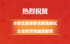 热烈祝贺!荣耀体育在线官网-荣耀体育在线官网（中国）信息荣获合肥高新区企业经济效益贡献奖